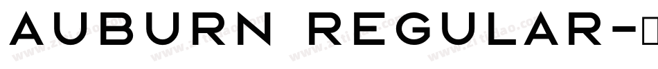 Auburn Regular字体转换